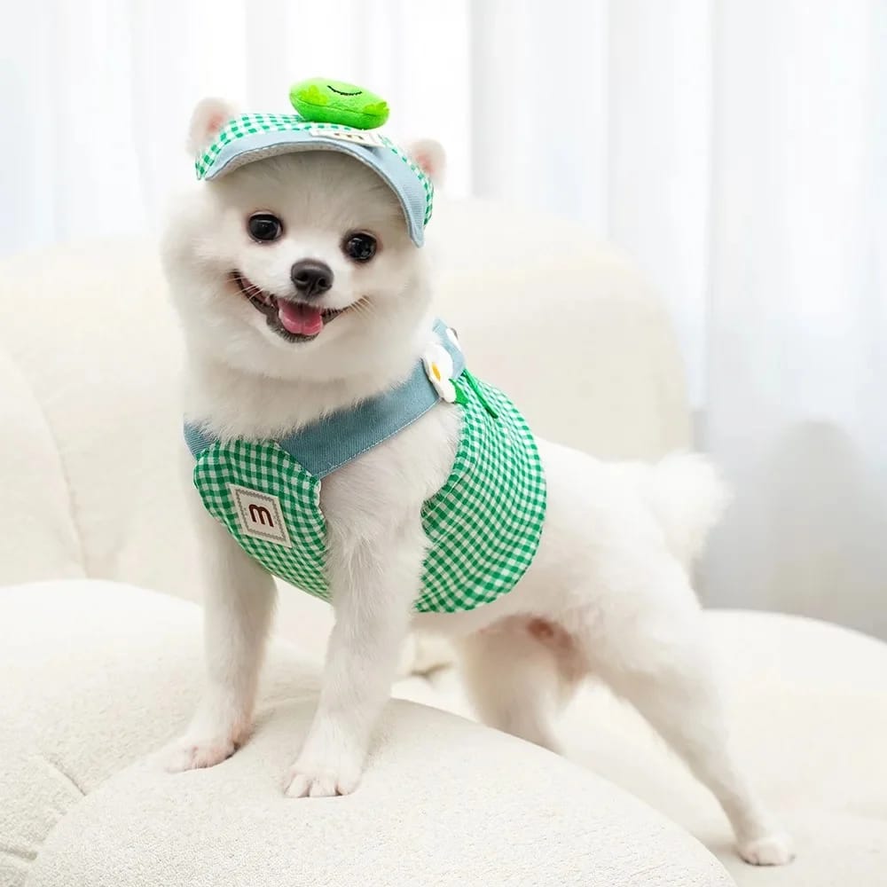 Cute Critter Pet Outfit Set